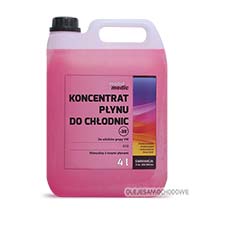 Koncentrat pynu do chodnic G12 5L  / Audi VW /